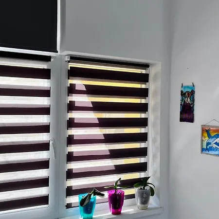 Summer Vibe - La Curte Konstanca