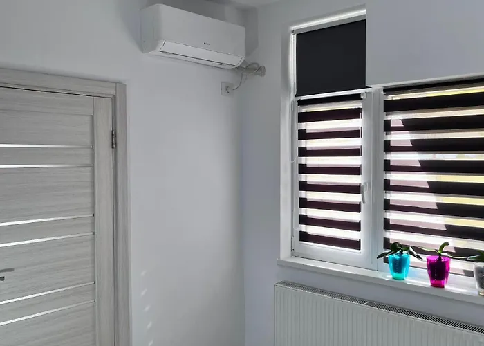 Summer Vibe - La Curte Konstanca