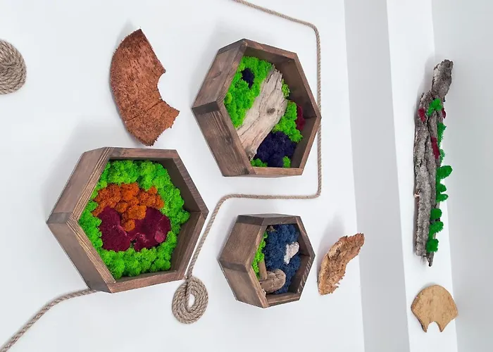 Summer Vibe - La Curte