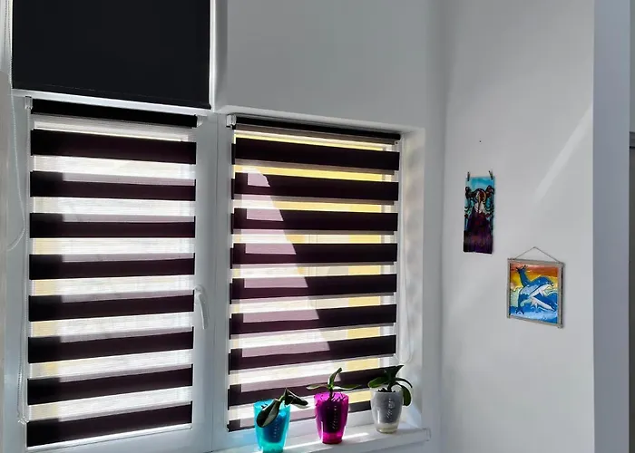 Summer Vibe - La Curte Konstanca