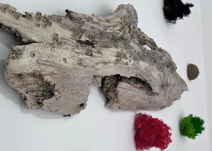 Summer Vibe - La Curte Kwatera prywatna *