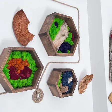 Summer Vibe - La Curte